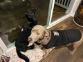 Corspice Dog T shirt